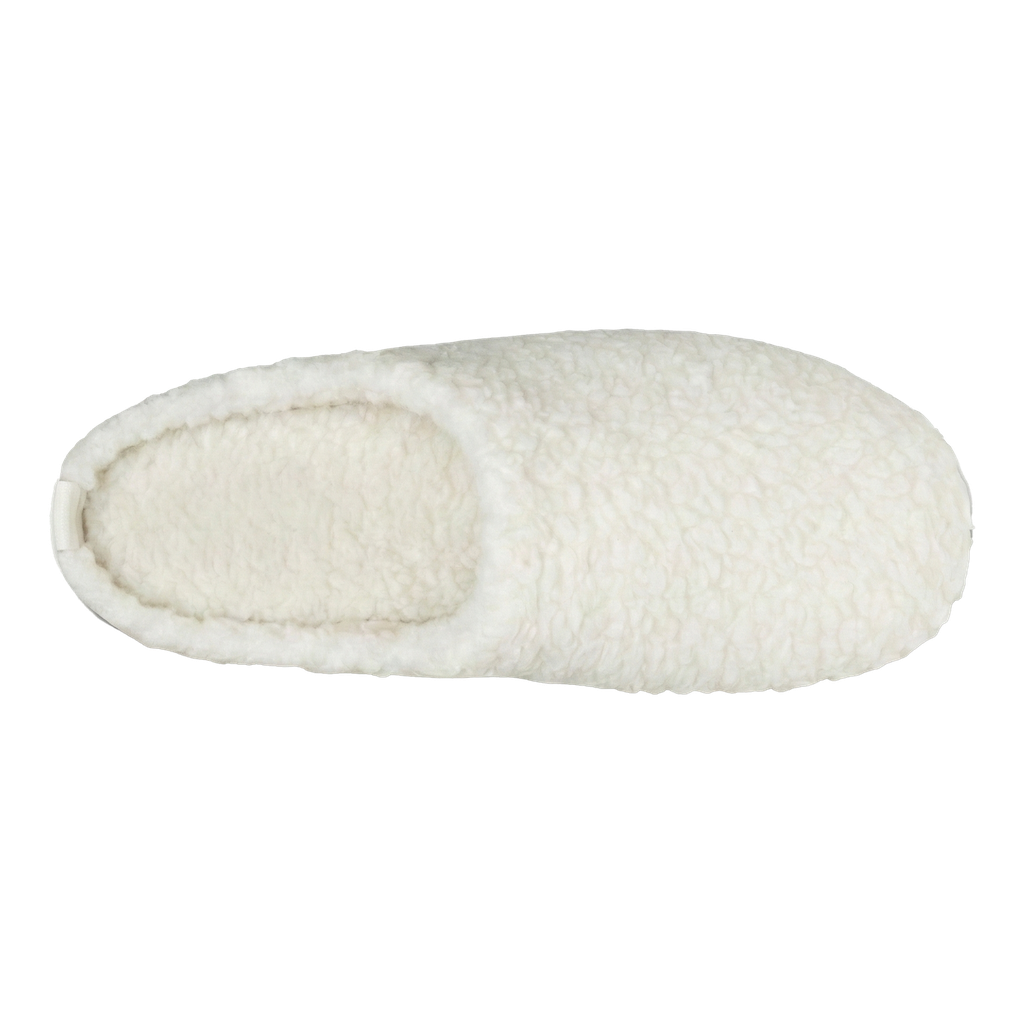Slipper_Edit_1_Transparent.png