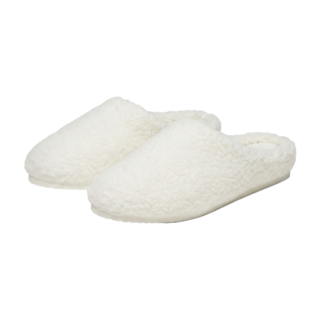 Slipper_Edit_2_Transparent.png